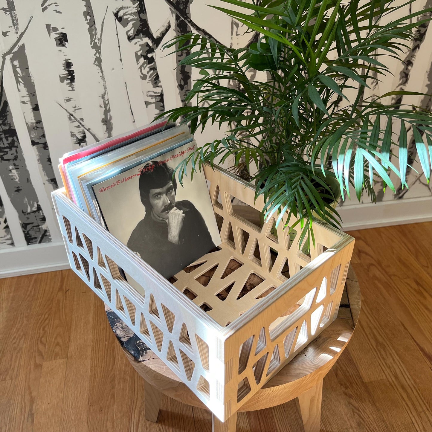 The Longbody - Long Storage Box For 7” 45RPM Vinyl LP Records - Longbody Mini Milk Crate Style